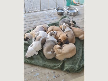 Image 1 of 5