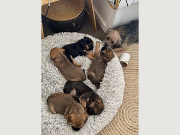 Image 1 of 10