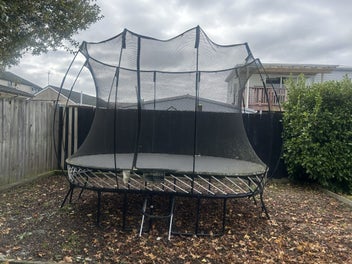 Image 1 of 1