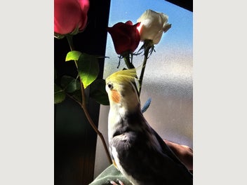 Image 1 of 6