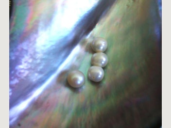 Image 1 of 9