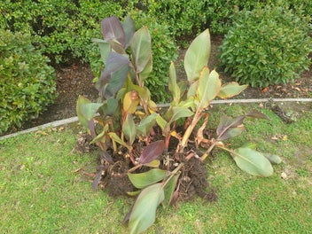 Image 1 of 6