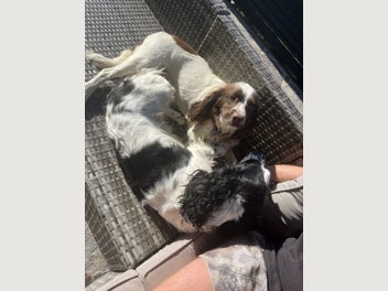 Image 1 of 17