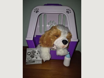 Image 1 of 3