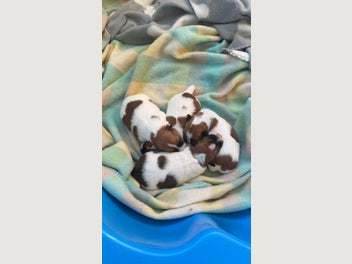 Image 1 of 8