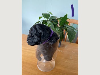 Image 1 of 14