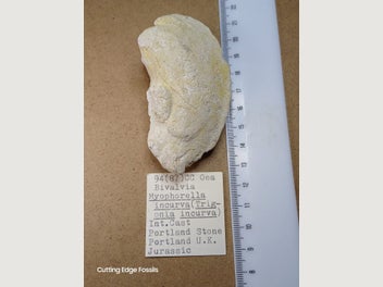 Image 1 of 9