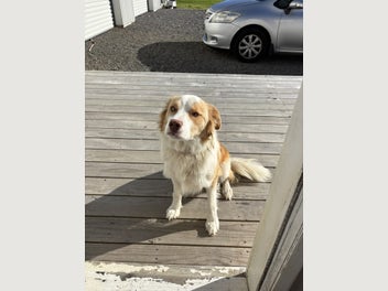 Image 1 of 1