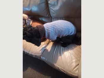 Image 1 of 1