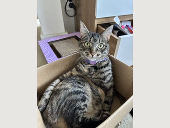 Image 1 of 12