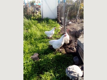 Image 1 of 14
