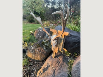 Image 1 of 7