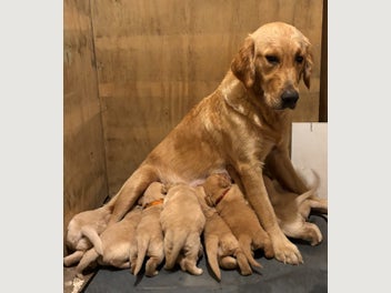 Image 1 of 12