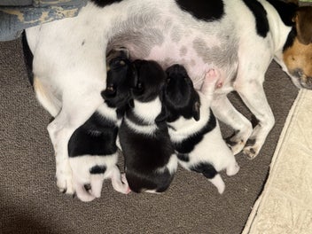 Image 1 of 6