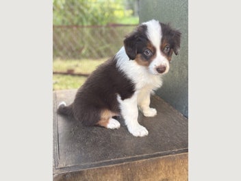 Image 1 of 15