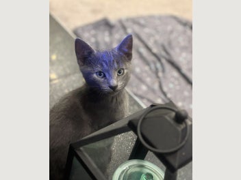 Image 1 of 20