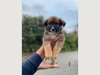 Image 1 of 20