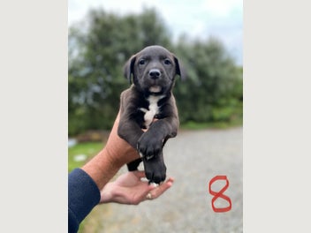 Image 1 of 19