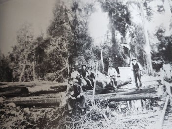 Image 1 of 13