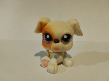 Image 1 of 1