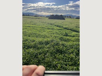 Image 1 of 13