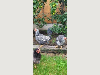 Image 1 of 8