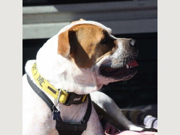 Image 1 of 15