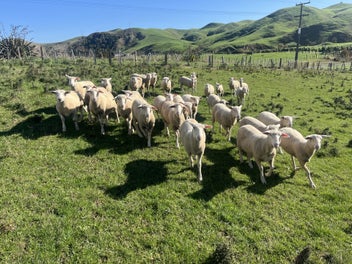 Image 1 of 2