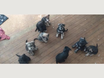 Image 1 of 15