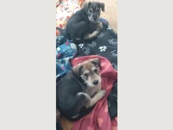 Image 1 of 14