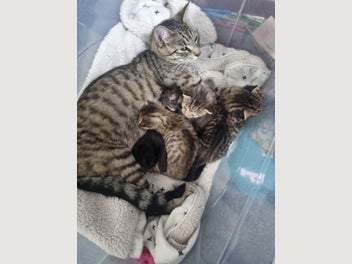Image 1 of 10