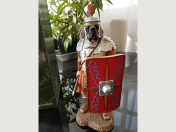 Image 1 of 3