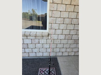 Image 1 of 8