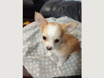 Image 1 of 10