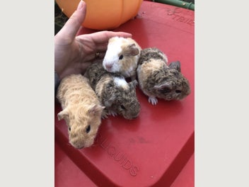 Image 1 of 8
