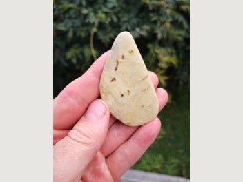 Image 1 of 7