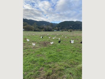 Image 1 of 8