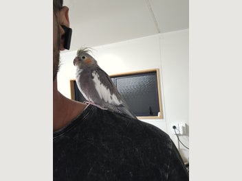 Image 1 of 7