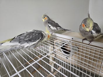 Image 1 of 7