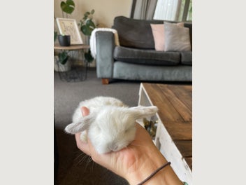 Image 1 of 12