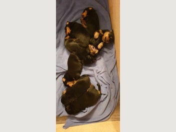 Image 1 of 20