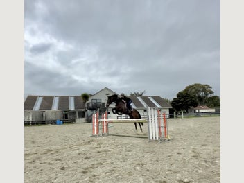 Image 1 of 10