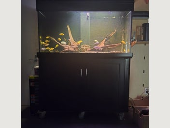 Image 1 of 12