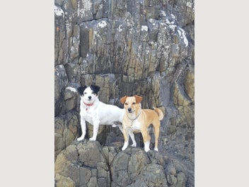 Image 1 of 8