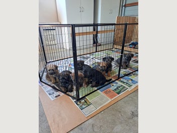 Image 1 of 10