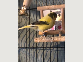 Image 1 of 6