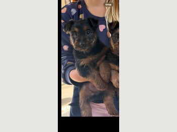 Image 1 of 5
