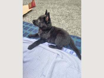 Image 1 of 5