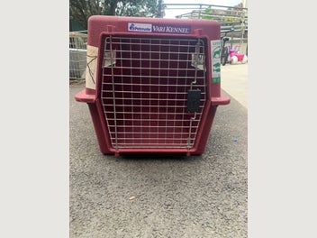 Image 1 of 8