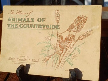Image 1 of 9